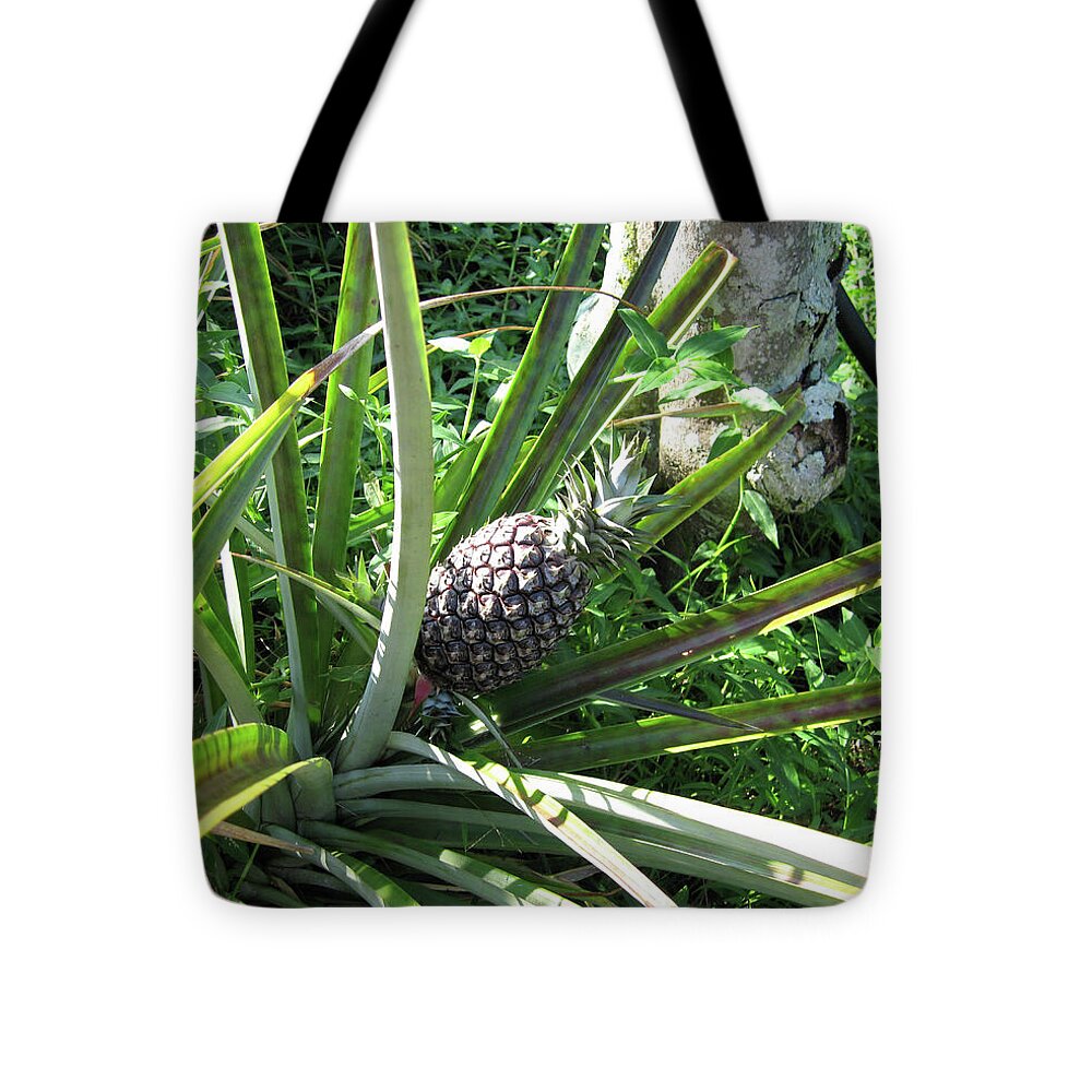 Hawaii 1 - Tote Bag