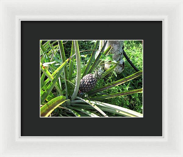 Hawaii 1 - Framed Print