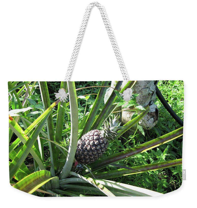 Hawaii 1 - Weekender Tote Bag