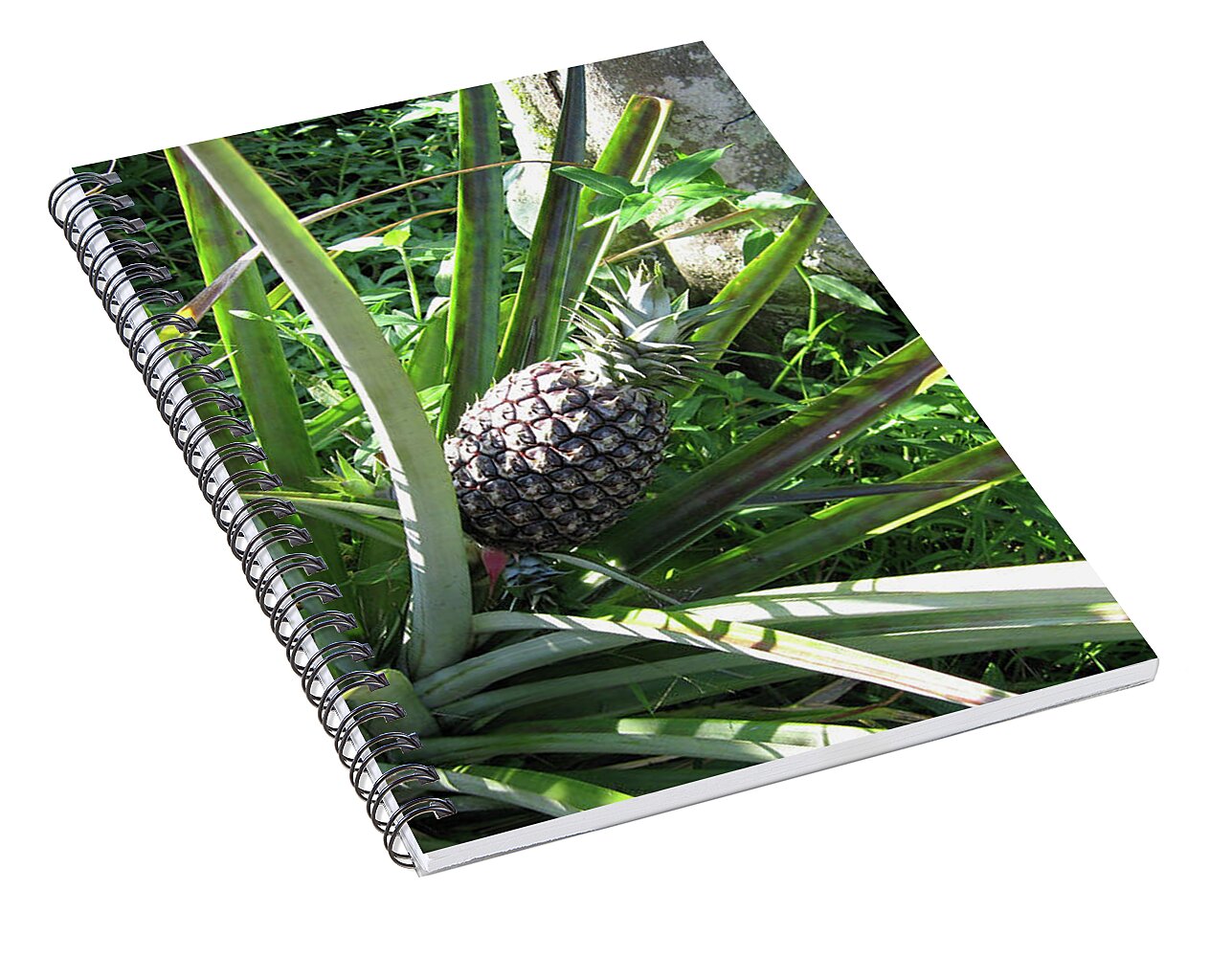 Hawaii 1 - Spiral Notebook