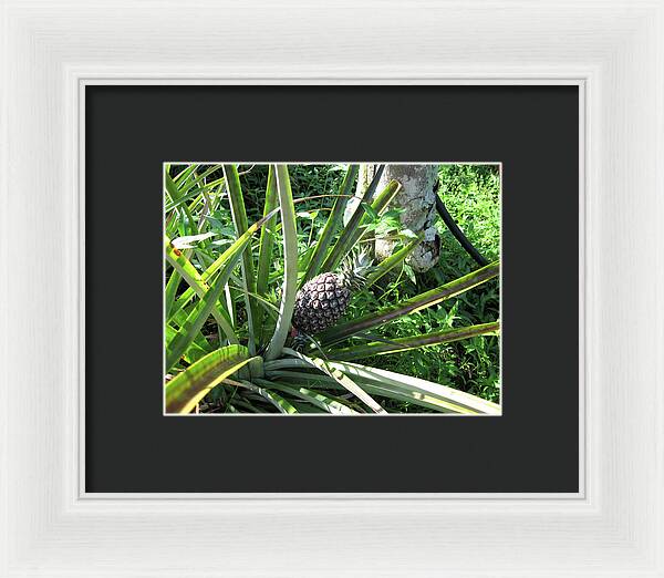 Hawaii 1 - Framed Print