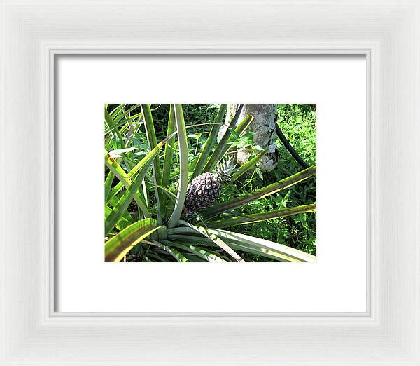 Hawaii 1 - Framed Print