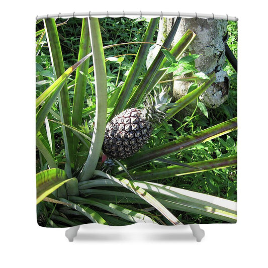 Hawaii 1 - Shower Curtain