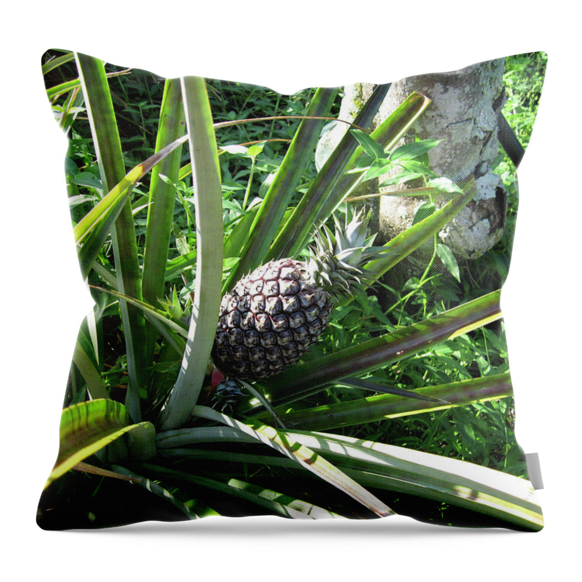 Hawaii 1 - Throw Pillow