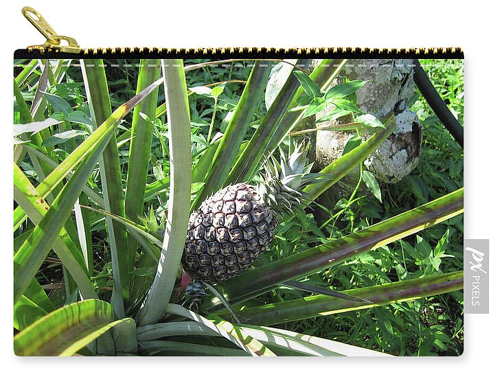 Hawaii 1 - Zip Pouch