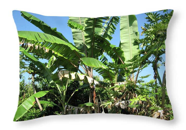 Hawaii No 2 - Throw Pillow