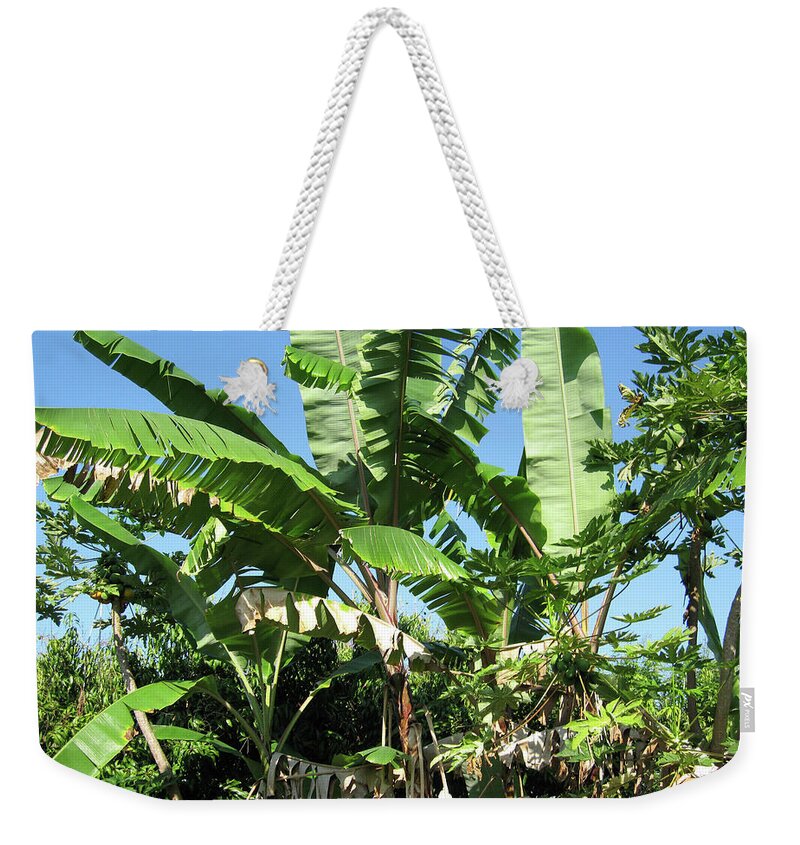 Hawaii No 2 - Weekender Tote Bag