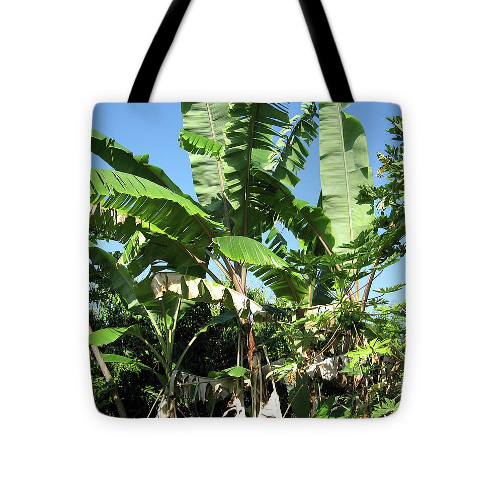 Hawaii No 2 - Tote Bag