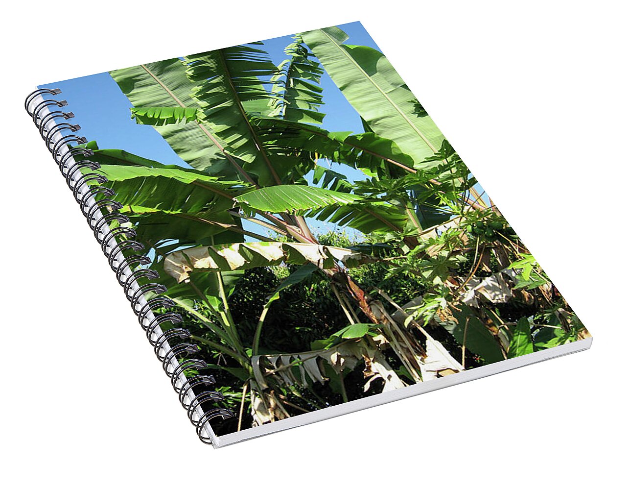 Hawaii No 2 - Spiral Notebook