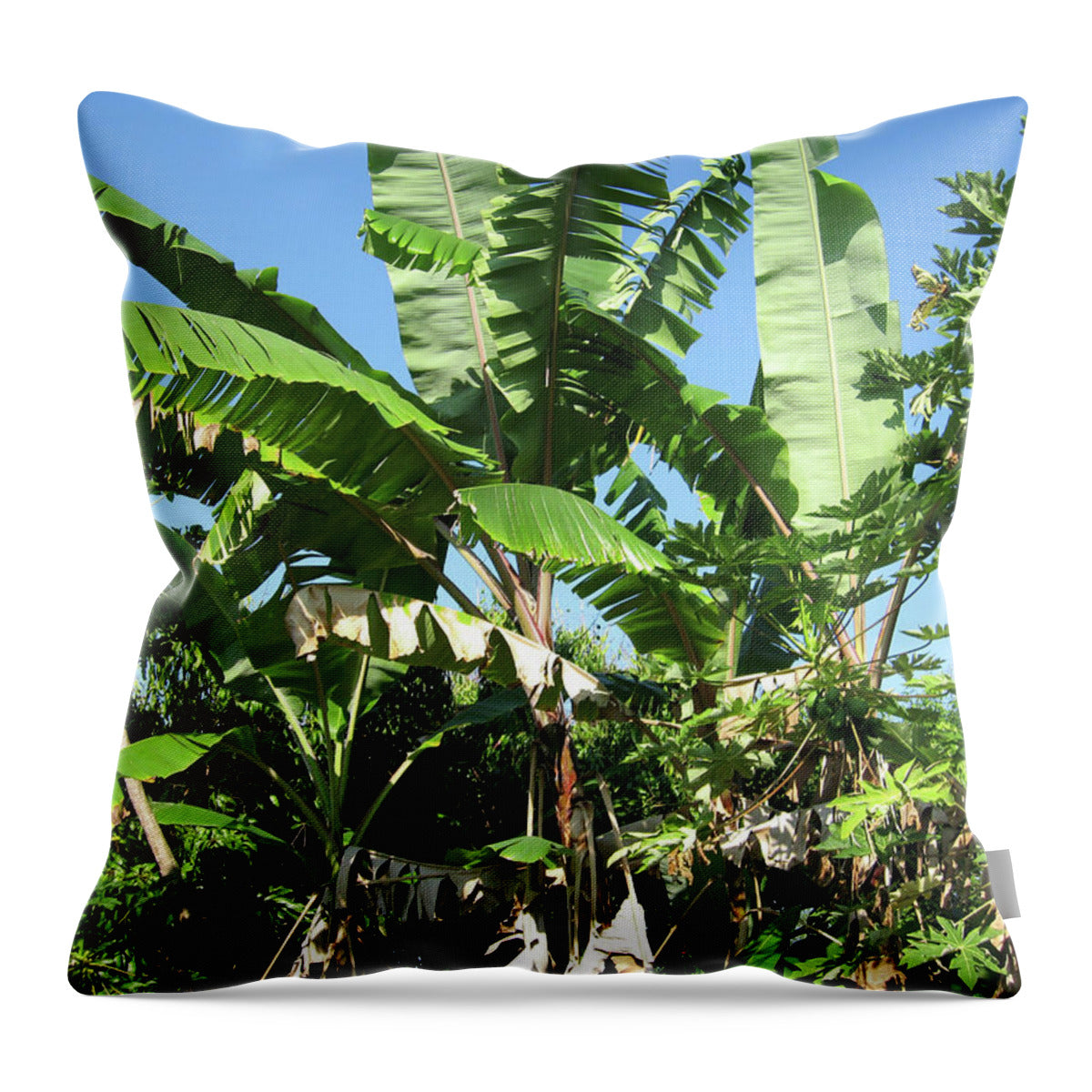 Hawaii No 2 - Throw Pillow