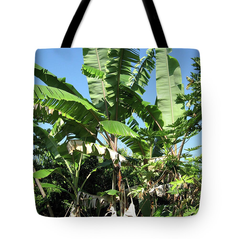 Hawaii No 2 - Tote Bag