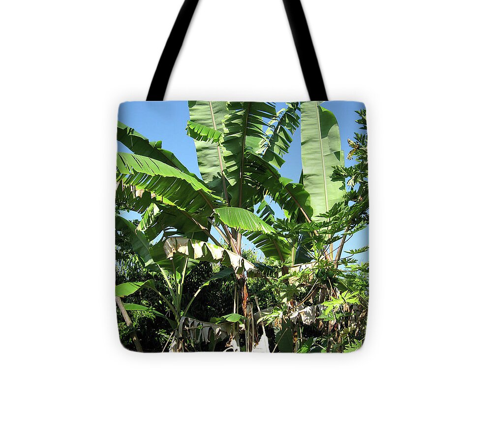 Hawaii No 2 - Tote Bag