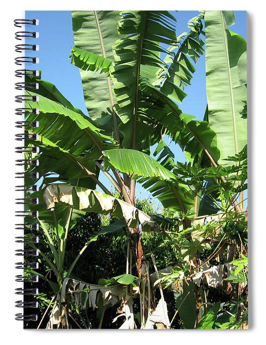 Hawaii No 2 - Spiral Notebook