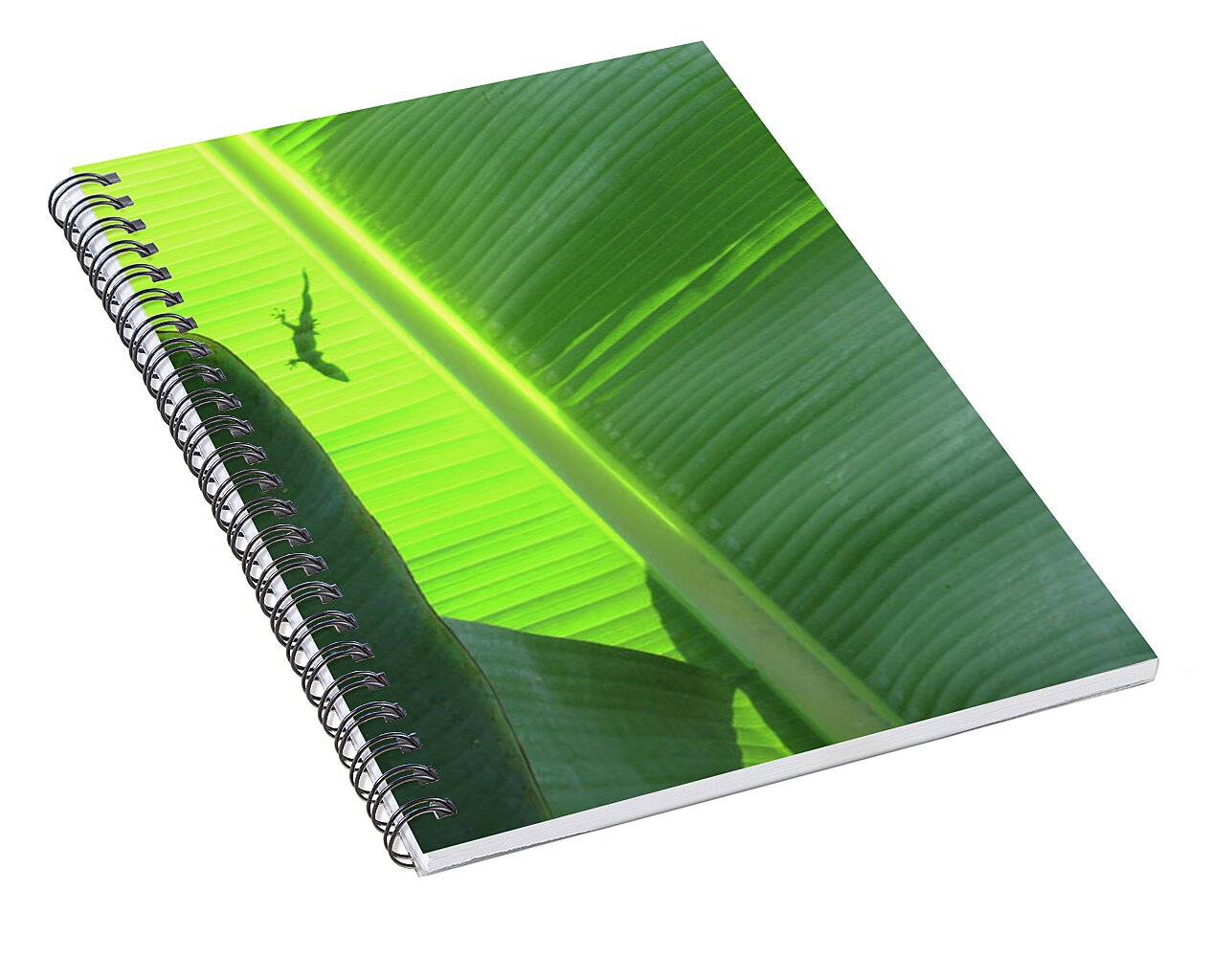 Hawaii No 3 - Spiral Notebook