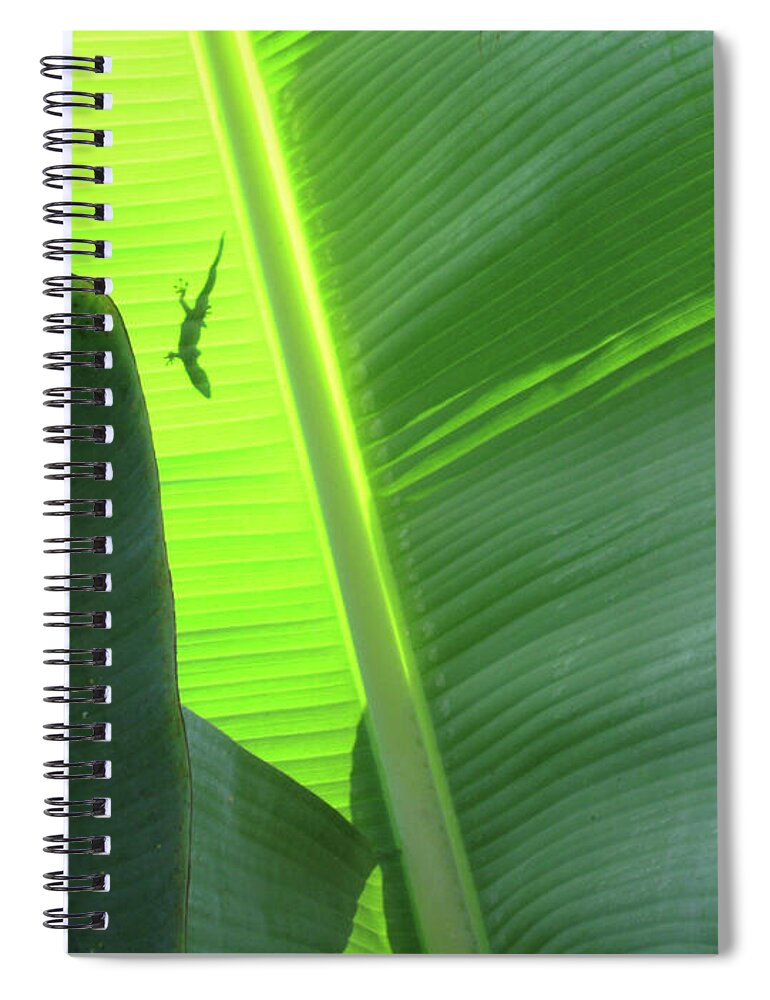 Hawaii No 3 - Spiral Notebook