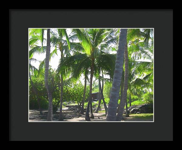 Hawaii No 5 - Framed Print