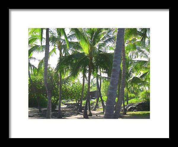 Hawaii No 5 - Framed Print