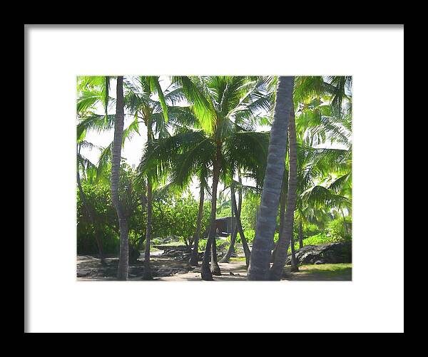 Hawaii No 5 - Framed Print