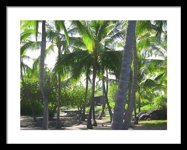 Hawaii No 5 - Framed Print