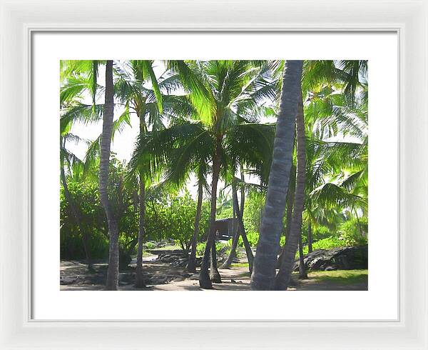 Hawaii No 5 - Framed Print