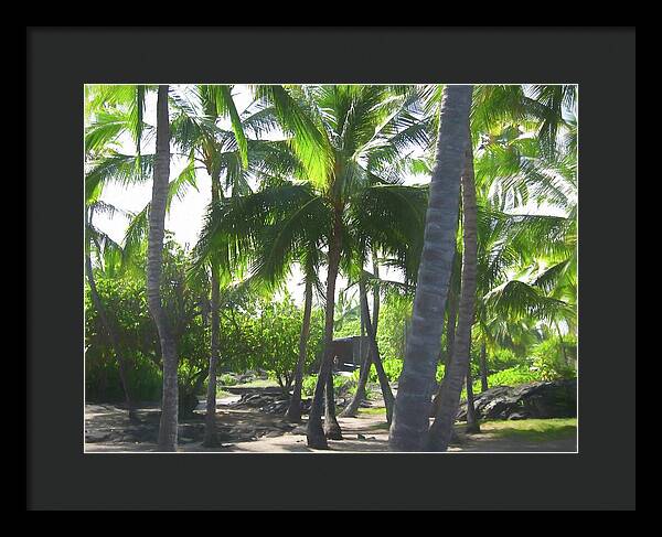 Hawaii No 5 - Framed Print