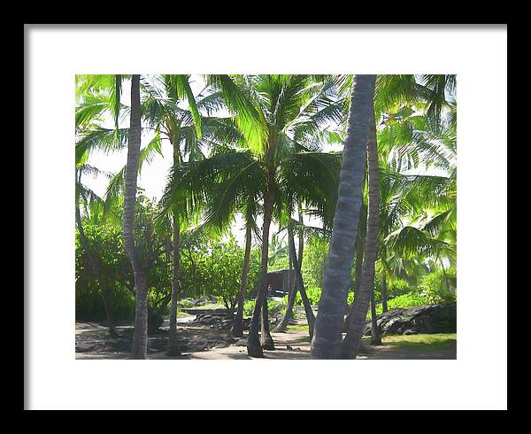 Hawaii No 5 - Framed Print