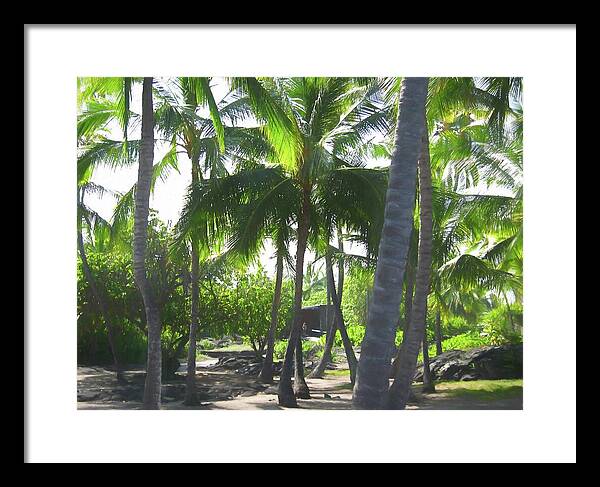 Hawaii No 5 - Framed Print