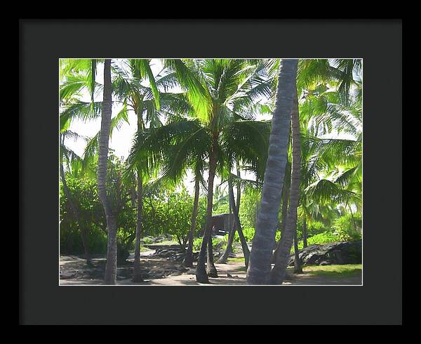 Hawaii No 5 - Framed Print