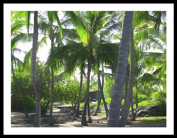 Hawaii No 5 - Framed Print