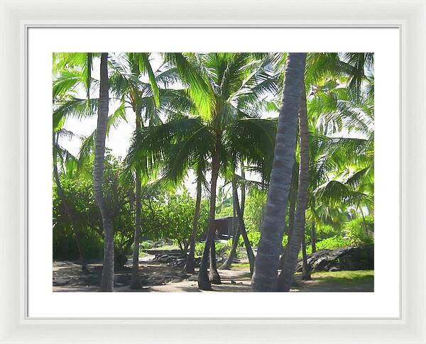 Hawaii No 5 - Framed Print