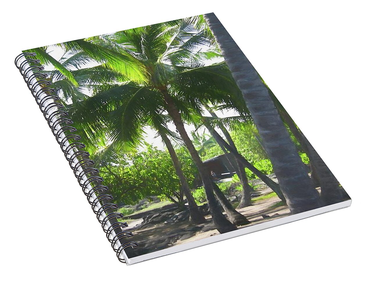 Hawaii No 5 - Spiral Notebook