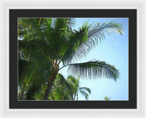 Hawaii No 6 - Framed Print