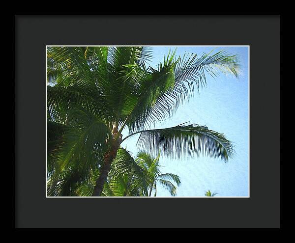 Hawaii No 6 - Framed Print