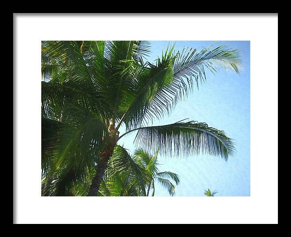 Hawaii No 6 - Framed Print