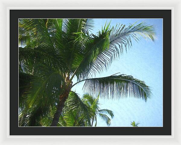 Hawaii No 6 - Framed Print