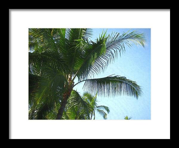 Hawaii No 6 - Framed Print