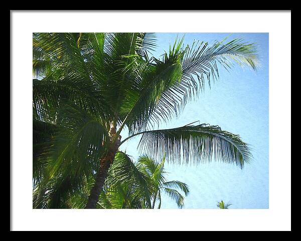 Hawaii No 6 - Framed Print