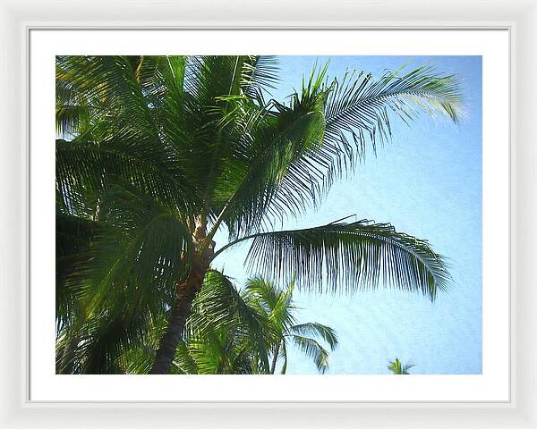 Hawaii No 6 - Framed Print