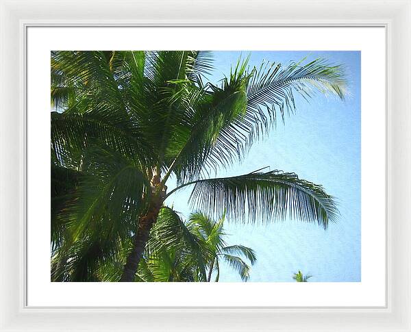 Hawaii No 6 - Framed Print