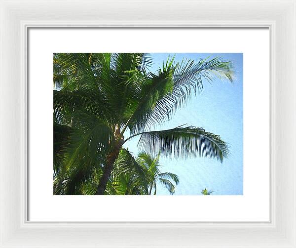 Hawaii No 6 - Framed Print