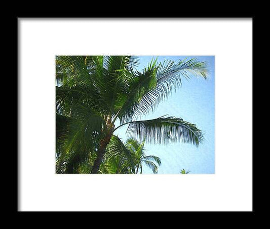 Hawaii No 6 - Framed Print