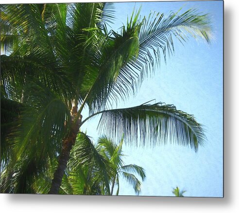 Hawaii No 6 - Metal Print