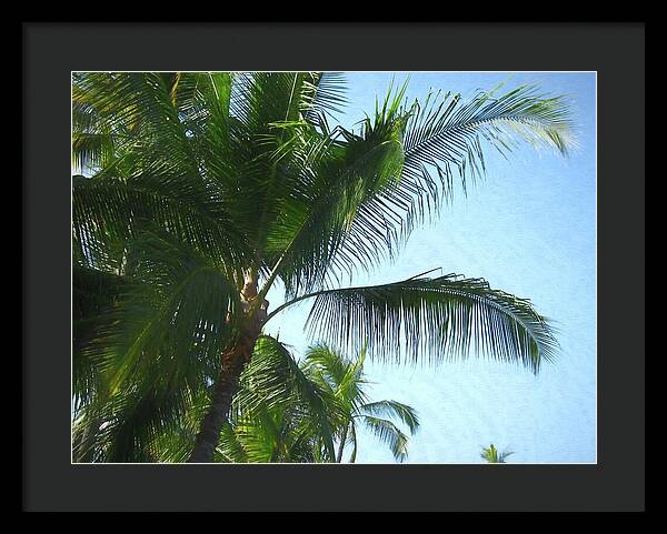 Hawaii No 6 - Framed Print