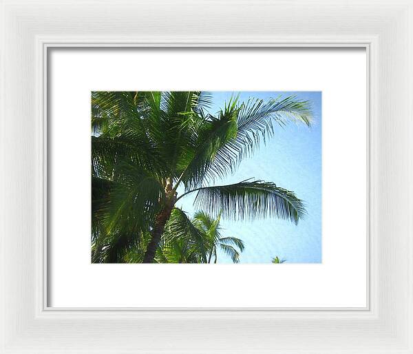 Hawaii No 6 - Framed Print