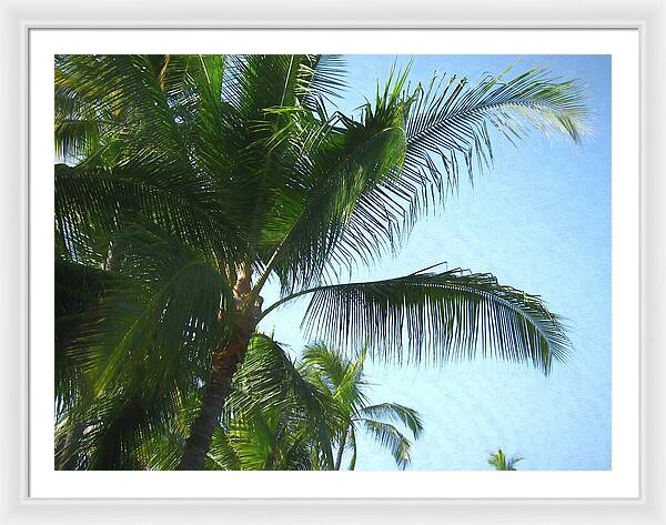 Hawaii No 6 - Framed Print