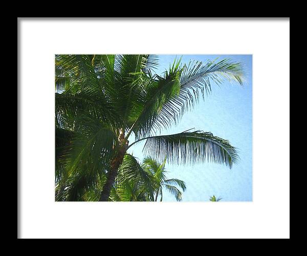 Hawaii No 6 - Framed Print