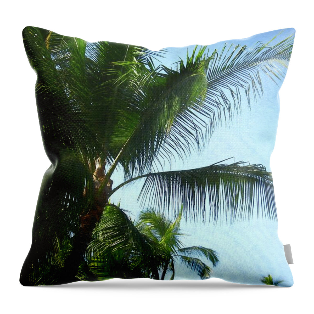 Hawaii No 6 - Throw Pillow