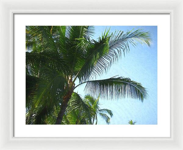 Hawaii No 6 - Framed Print