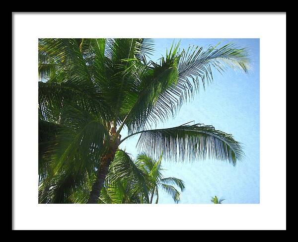 Hawaii No 6 - Framed Print