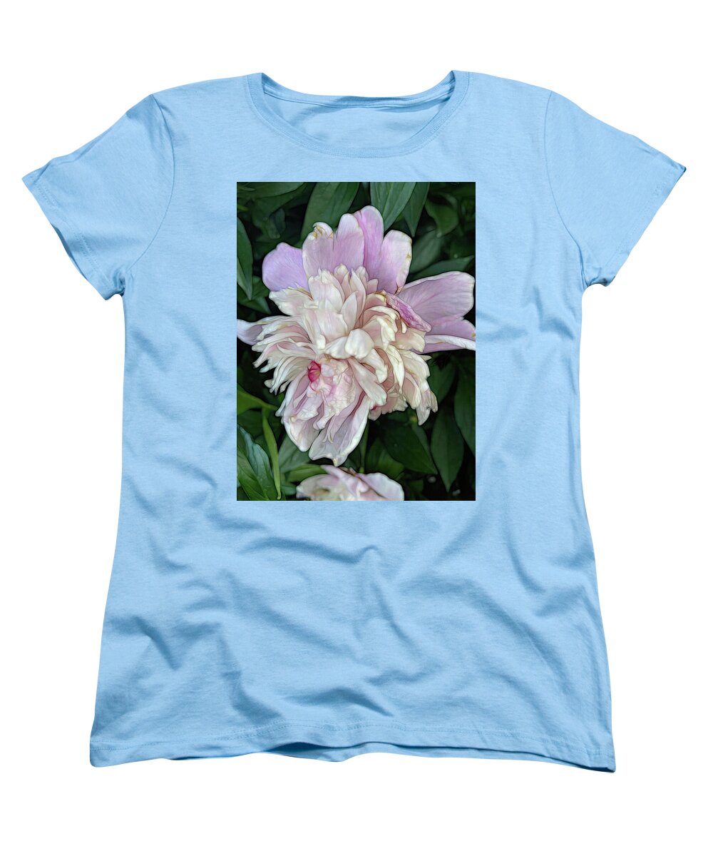 June Peony - Women's T-Shirt (Standard Fit)